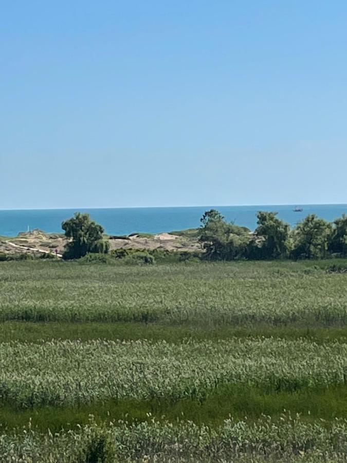 Pearl Sunshine Appartments Primorsko Buitenkant foto